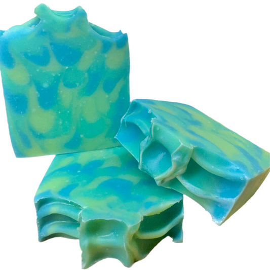Cactus & Sea Salt Soap Bar